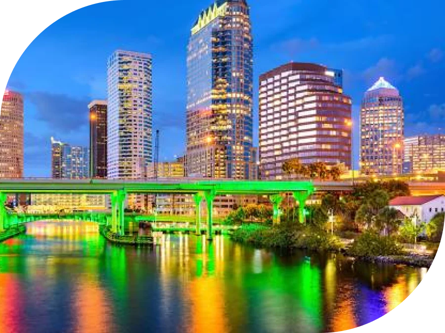 Web Development Banner