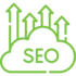 Search Engine
                            Optimization